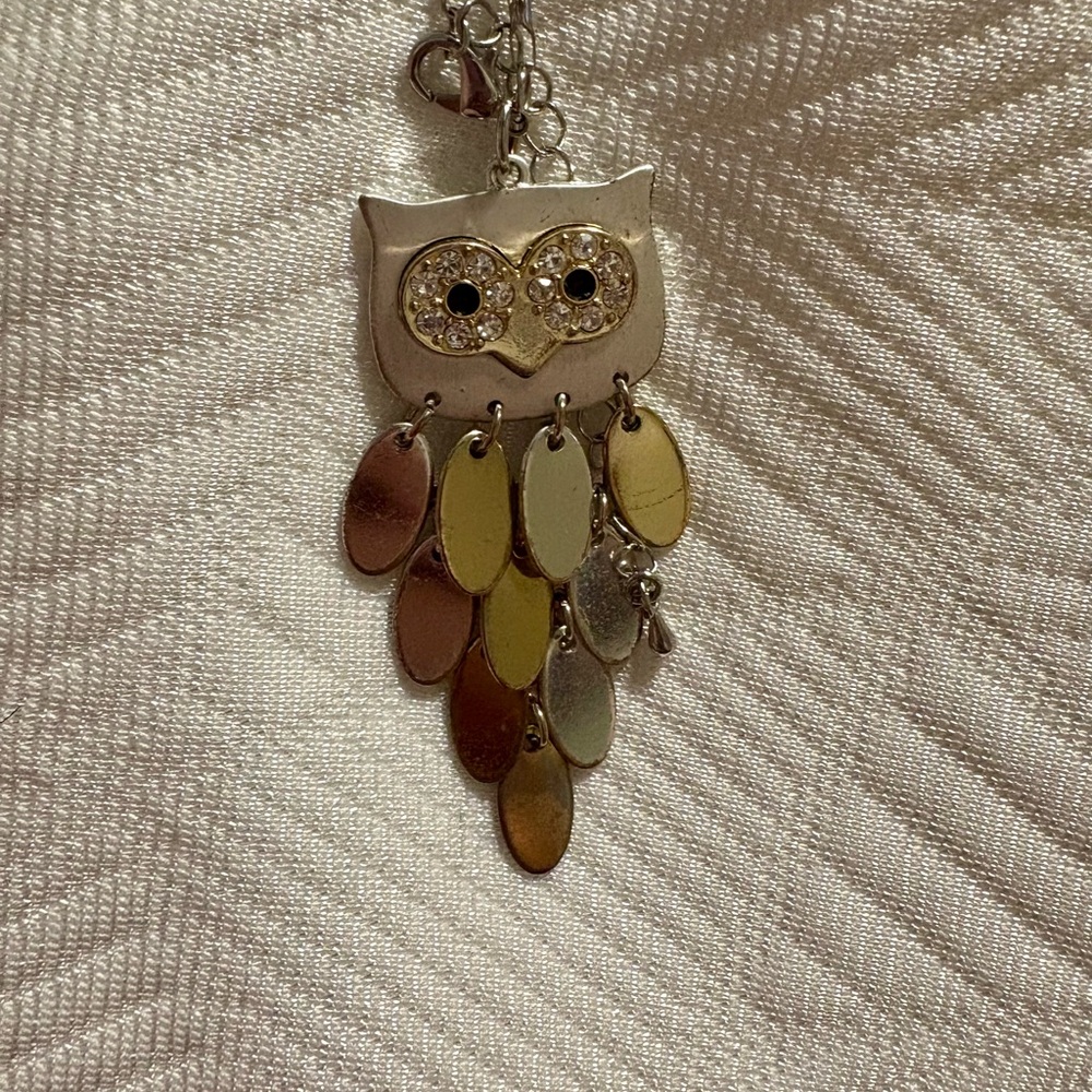 Christopher & Banks Silver and Gold Owl Necklace